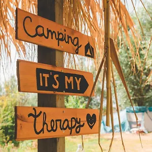 Olive Camping